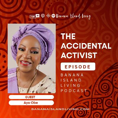 The Accidental Activist Episode