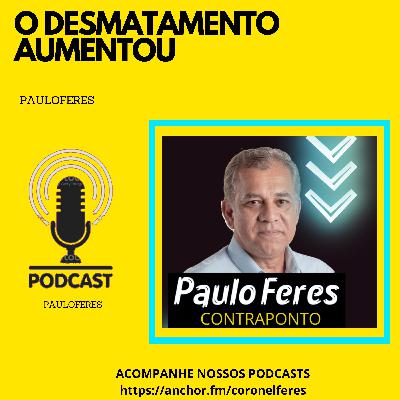 O DESMATAMENTO AUMENTOU