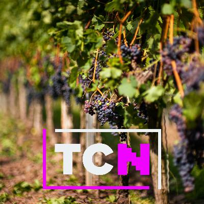 TCN Podcast - April 3, 2026 TCN Podcast - April 3, 2026