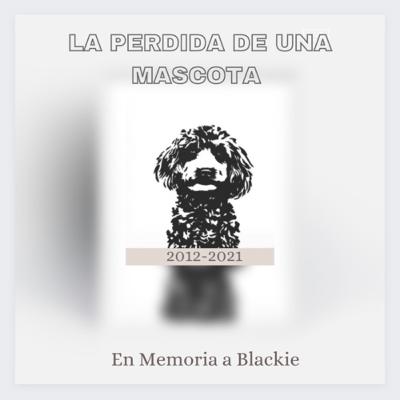 LA PERDIDA DE UNA MASCOTA