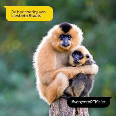 ARTIS vergeet je niet - De herinnering van Liesbeth Staats ARTIS vergeet je niet - De herinnering van Liesbeth Staats