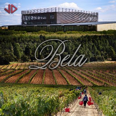 Bela (D.O. Ribera del Duero) – Cata con Sara Juan