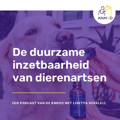 De duurzame inzetbaarheid van dierenartsen