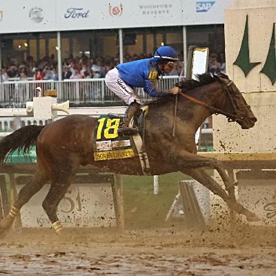 How does Angela Hermann feel about Sovereignty being scratched from the Breeder's Cup? How does Angela Hermann feel about Sovereignty being scratched from the Breeder's Cup?