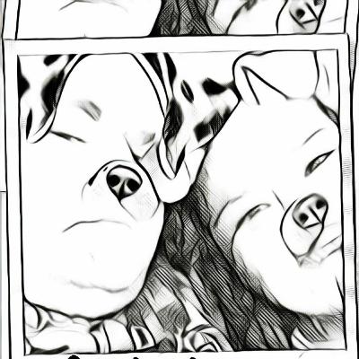 E chegou setembro! E chegou setembro!