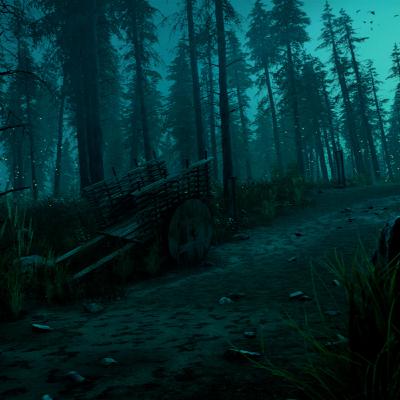 Deserted Country Road At Night
