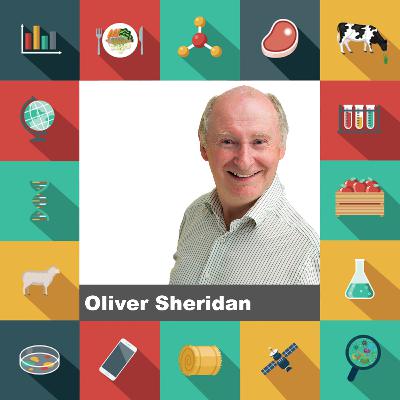 Ten: Developing Birch as a Commercial Forestry Species