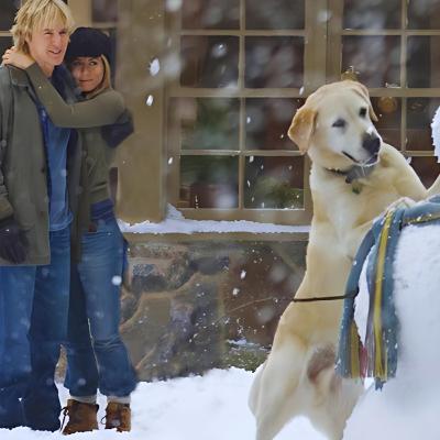 Marley & Me ||Couple Adopted a Dog Instead of Child, But💥🤯⁉️⚠️ | Dog Movie Story Explained in Hindi