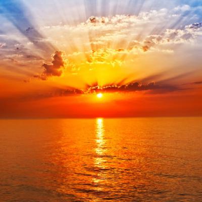 Arise & Shine!