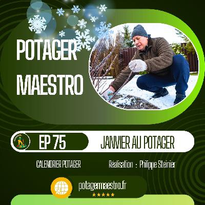 Janvier : que faire et planter au potager ?