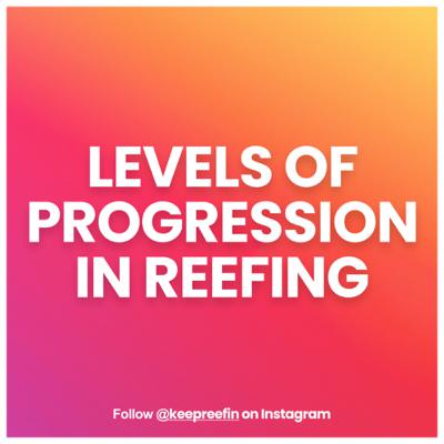 S1-04// Levels of progression in Reefing