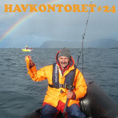 Havkontoret 22 - Torstein Pedersen