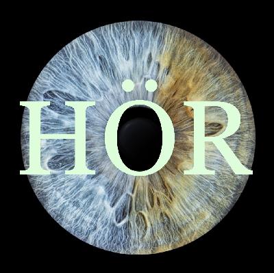 Hur blicken formas och omformas