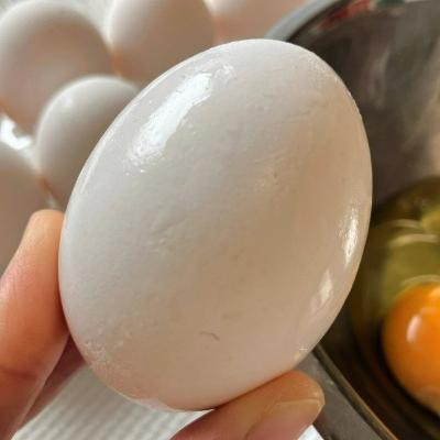 卵を割るとき、どっち向き？　見えない私が伝える料理のワクワク（食のへぇ～） #983