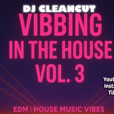 VIBBING IN THE HOUSE 3 VIBBING IN THE HOUSE 3