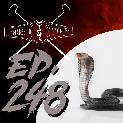 Winter prep and new gadgets | Snakes & Stogies Ep. 248 Winter prep and new gadgets | Snakes & Stogies Ep. 248