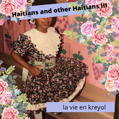 Haitians and Other Haitians [Part III]