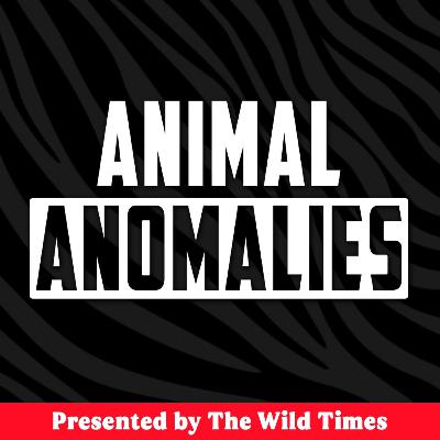 Is the Moa Still Alive? - Animal Anomalies Ep. 12 Is the Moa Still Alive? - Animal Anomalies Ep. 12