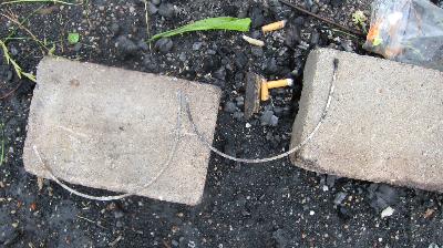 Postkort fra en kvindelejr