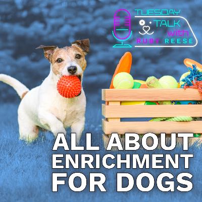 All About Enrichment for Dogs
