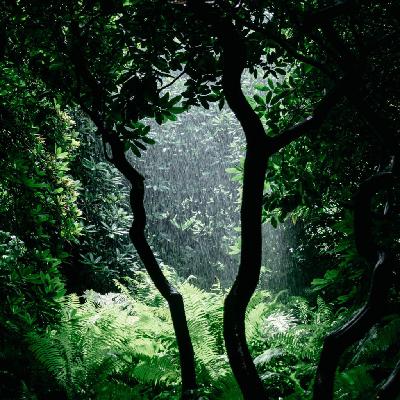 Voice Memo from Darién Gap