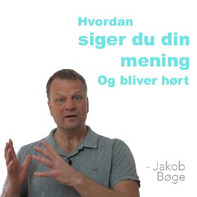 Hvordan siger du din mening - og bliver hørt?