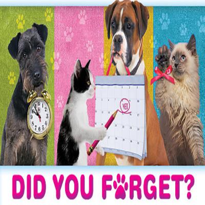 Bang! He is here | Mercury Retrograde 1.19