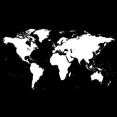 #1 - Professor de Idiomas (Limoeiro do Norte)