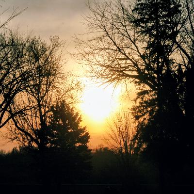 SURVIVING THE STORMS SURVIVING THE STORMS