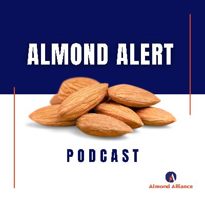 Infrastructure Reform from Left Field | EP14 Almond Alert Infrastructure Reform from Left Field | EP14 Almond Alert