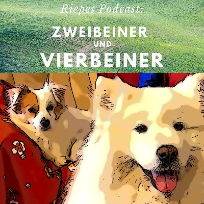 Der Konflikt mit dem Grenzen setzen