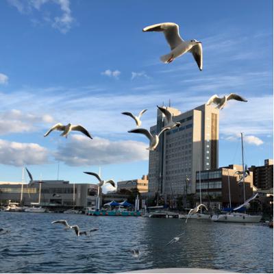 2021年11月23日　今日の日記