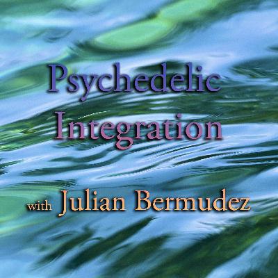 Episode 355: Psychedelic Integration with Julian Bermudez