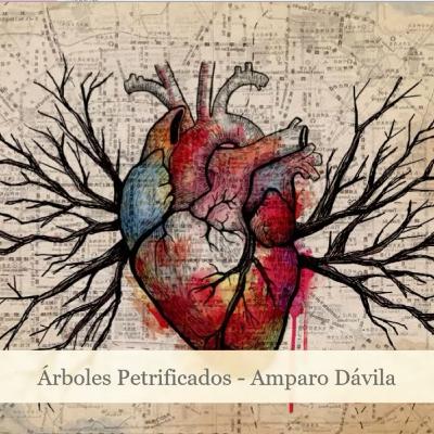 Audiocuento: Árboles petrificados Audiocuento: Árboles petrificados
