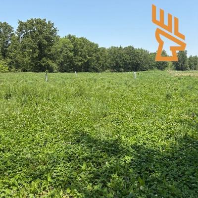 EP184 Turkey Brood Habitat, Spatial Movement, Land Management