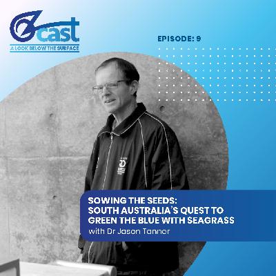 Sowing the seeds: South Australia's quest to green the blue with seagrass. Sowing the seeds: South Australia's quest to green the blue with seagrass.