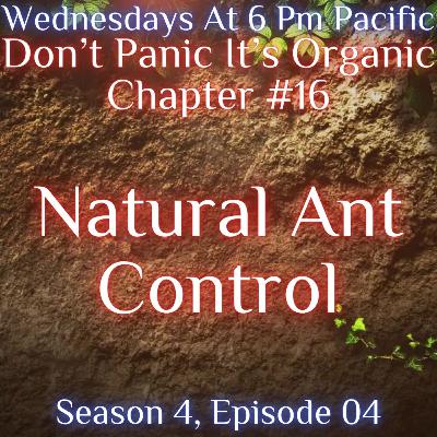Natural Ant Control Natural Ant Control