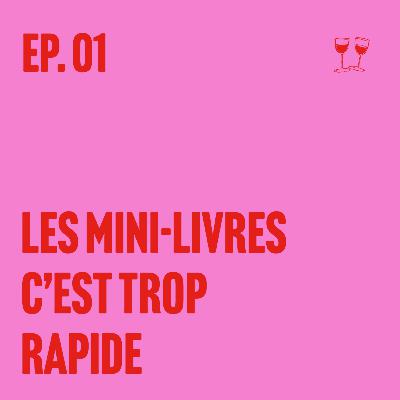 Les mini-livres, ça va trop vite