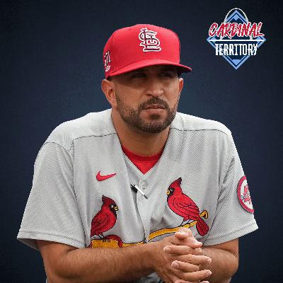 Cardinal Territory Christmas Special! Gifts for Marmol and Bloom