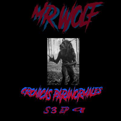 MR. WOLF