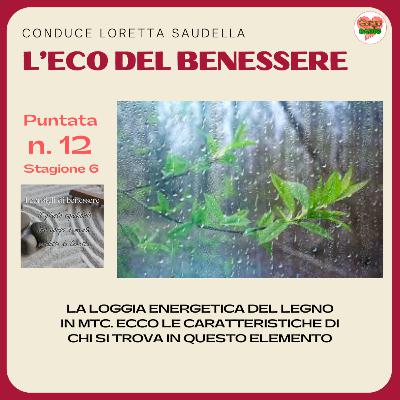 La loggia energetica del legno in MTC - #lecodelbenessere - P12- S6 La loggia energetica del legno in MTC - #lecodelbenessere - P12- S6