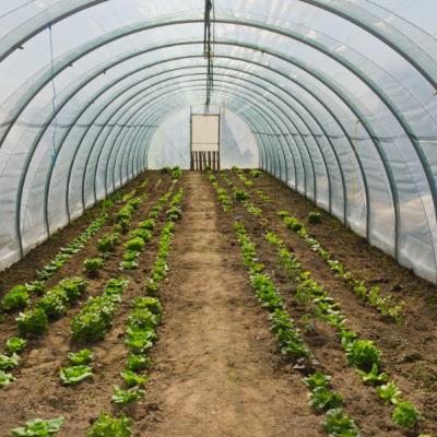 EP 11: America's New Generation of Farmers: Spade and Plow