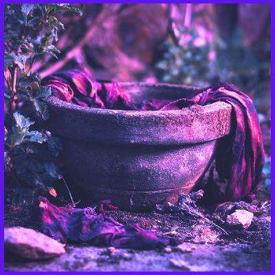 The Curse in the Flowerpot: A Dark Childhood Discovery