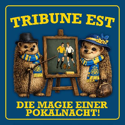 Die Magie einer historischen Pokalnacht! Die Magie einer historischen Pokalnacht!
