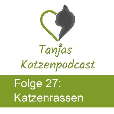 Katzenrassen und ihre Eigenschaften – Nicht jede Rasse ist für jeden Menschen geeignet