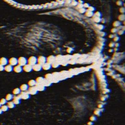 SCP-2967 - Sapient Cephalopods : Object Class - Euclid : Sentient SCP SCP-2967 - Sapient Cephalopods : Object Class - Euclid : Sentient SCP