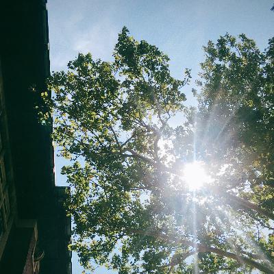 EP.02 夏日特辑-属于我们明亮又热烈的限定回忆