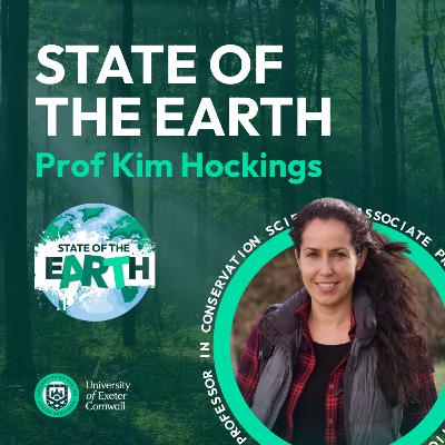 Primates and the Future of Conservation: In conversation with Dr Kimberley Hockings