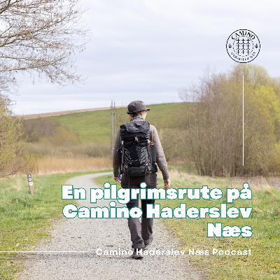 Fællesskabets vandringer: En pilgrimsrute på Camino Haderslev Næs