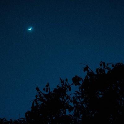 Siddhartha y la Reencarnación